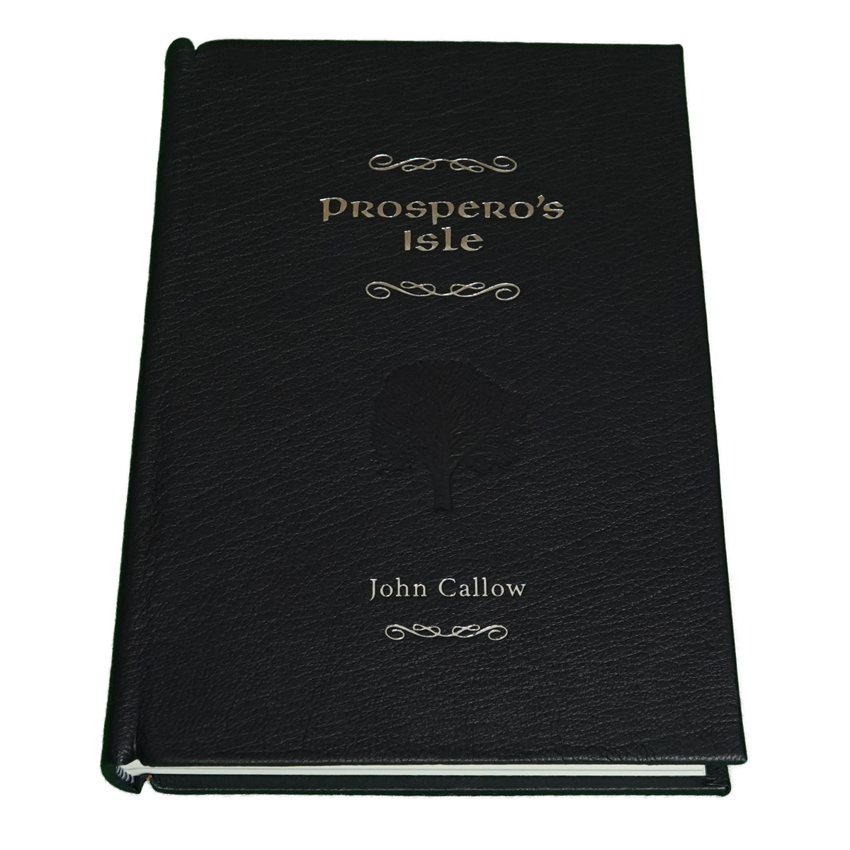 Prospero's Isle by John Callow