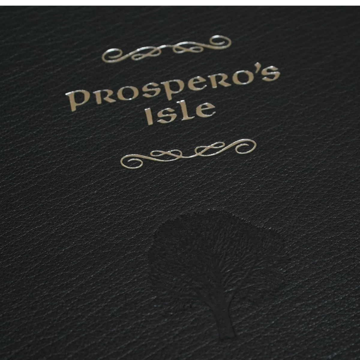 Prospero's Isle by John Callow